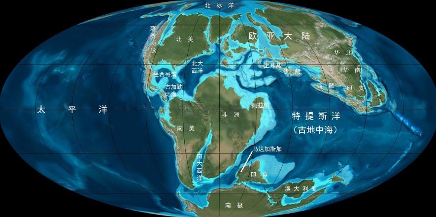 恐龙确实遍布世界各地由何而来,肉食性恐龙一般生活在哪个时代