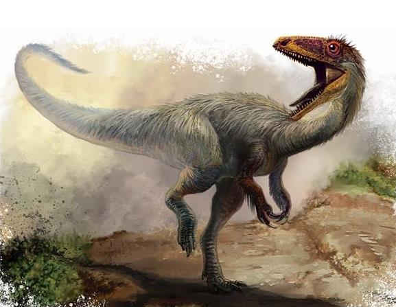 恐龙确实遍布世界各地由何而来,肉食性恐龙一般生活在哪个时代