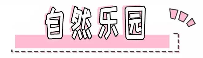 sk-ii哪个单品好用,skii最好用的护肤品推荐