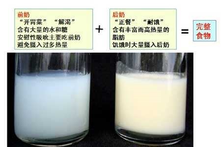 母乳变清有没有营养,母乳越清越没有营养么