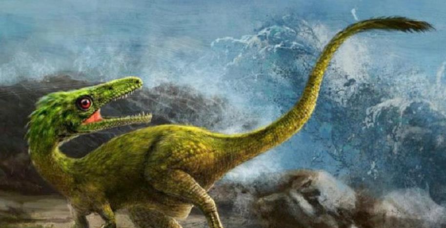 恐龙确实遍布世界各地由何而来,肉食性恐龙一般生活在哪个时代