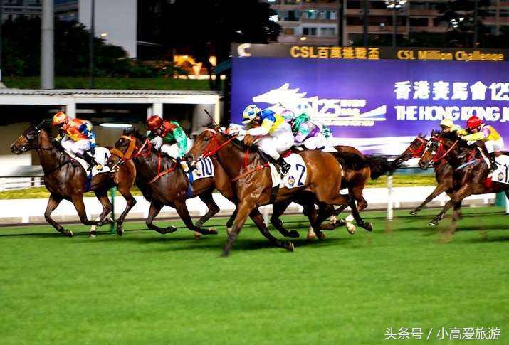 香港澳门七天自助游最佳路线,香港澳门七日旅游线路