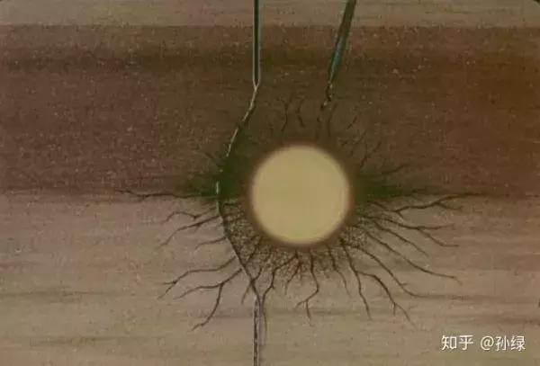 为什么俄罗斯被人称为是战斗民族,谈俄罗斯战斗民族