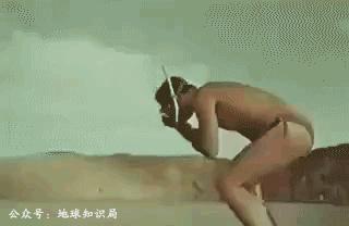 为什么俄罗斯被人称为是战斗民族,谈俄罗斯战斗民族