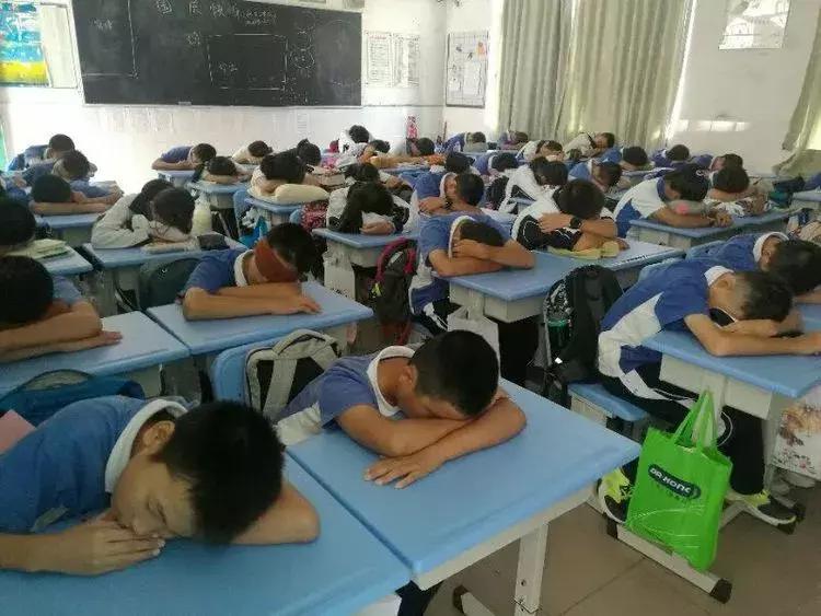 30554名学生!47所学校!聚焦午餐午休,深圳龙岗娃吃什么?