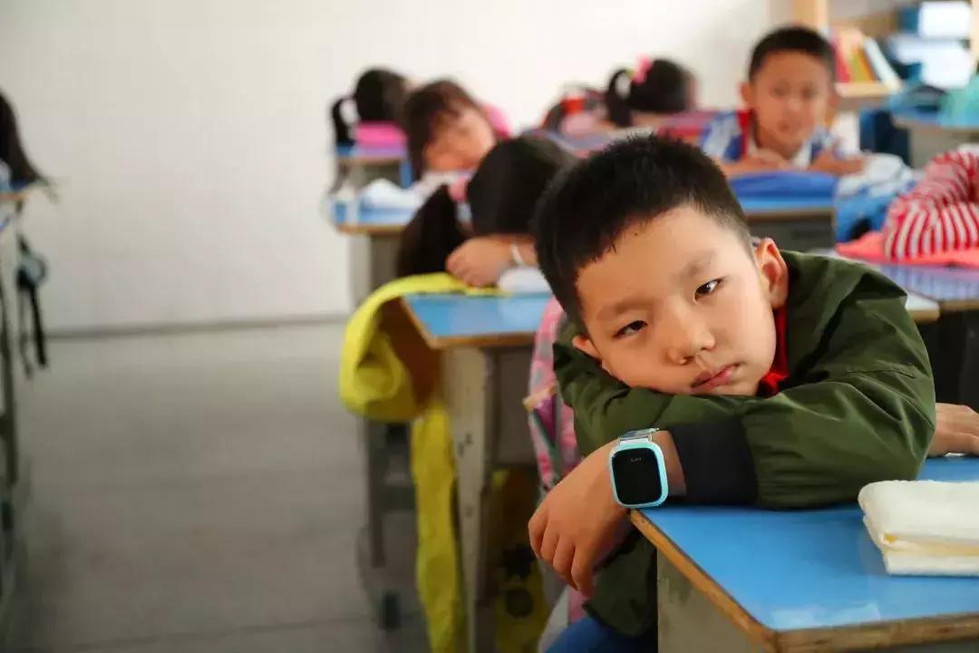 30554名学生!47所学校!聚焦午餐午休,深圳龙岗娃吃什么?