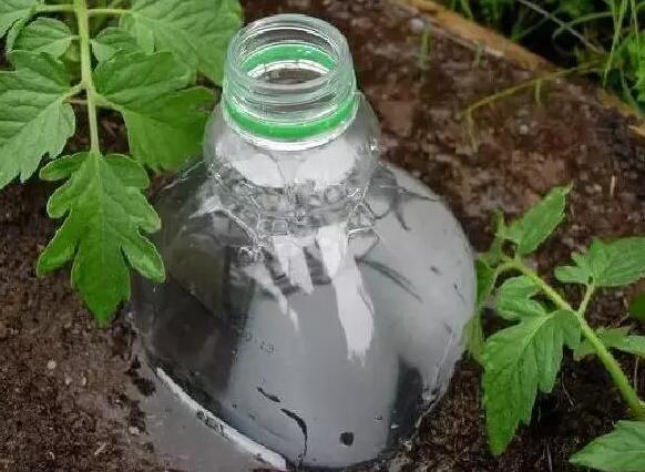 自制简单自动浇水装置,小学生都会做,休假就放心去浪吧!