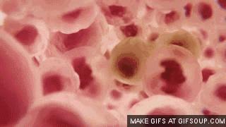 护肤品是智商税吗,这些年我们多掏的智商税