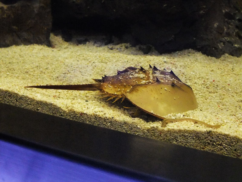 穷驴500块囧囧游香港（详细攻略带图）