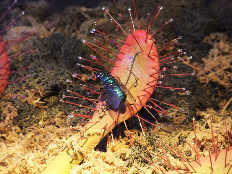 穷驴500块囧囧游香港（详细攻略带图）