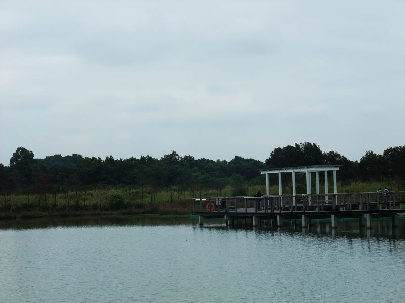 穷驴500块囧囧游香港（详细攻略带图）