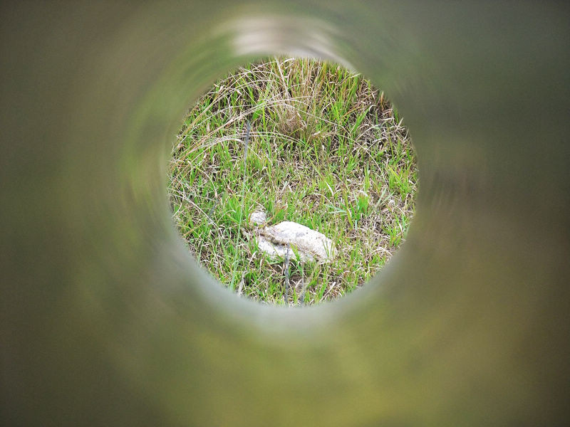 穷驴500块囧囧游香港（详细攻略带图）