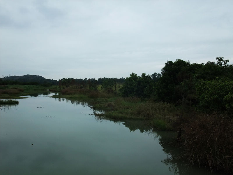 穷驴500块囧囧游香港（详细攻略带图）