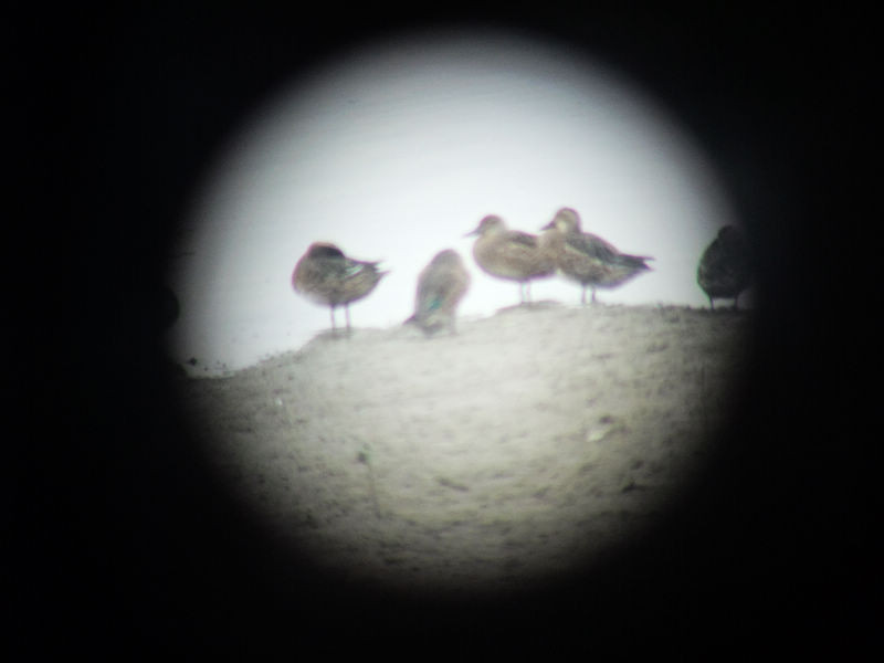 穷驴500块囧囧游香港（详细攻略带图）