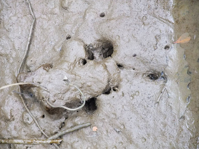 穷驴500块囧囧游香港（详细攻略带图）