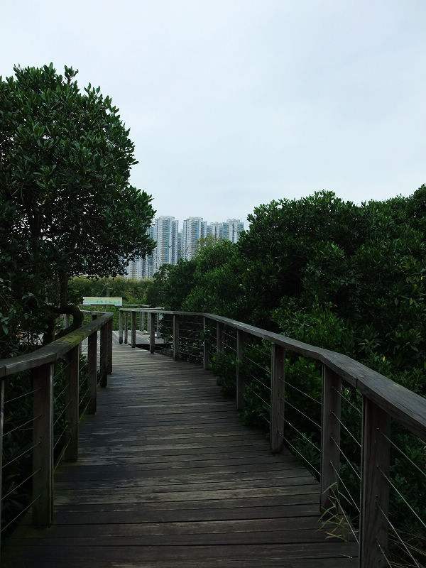 穷驴500块囧囧游香港（详细攻略带图）