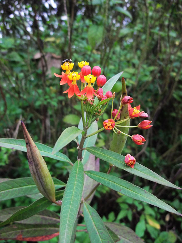 穷驴500块囧囧游香港（详细攻略带图）