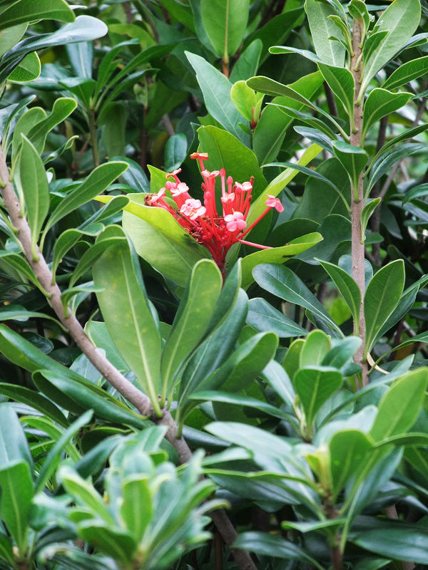 穷驴500块囧囧游香港（详细攻略带图）