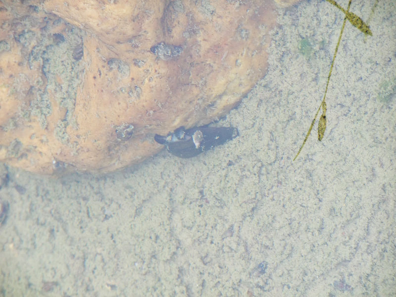 穷驴500块囧囧游香港（详细攻略带图）