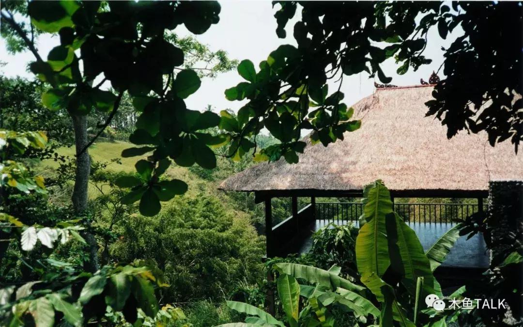 巴厘岛游玩必备攻略,巴厘岛游玩攻略最佳时间