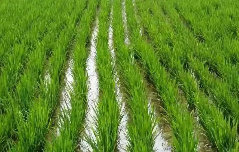 卖鞋最新商业模式,卖鞋的商业模式