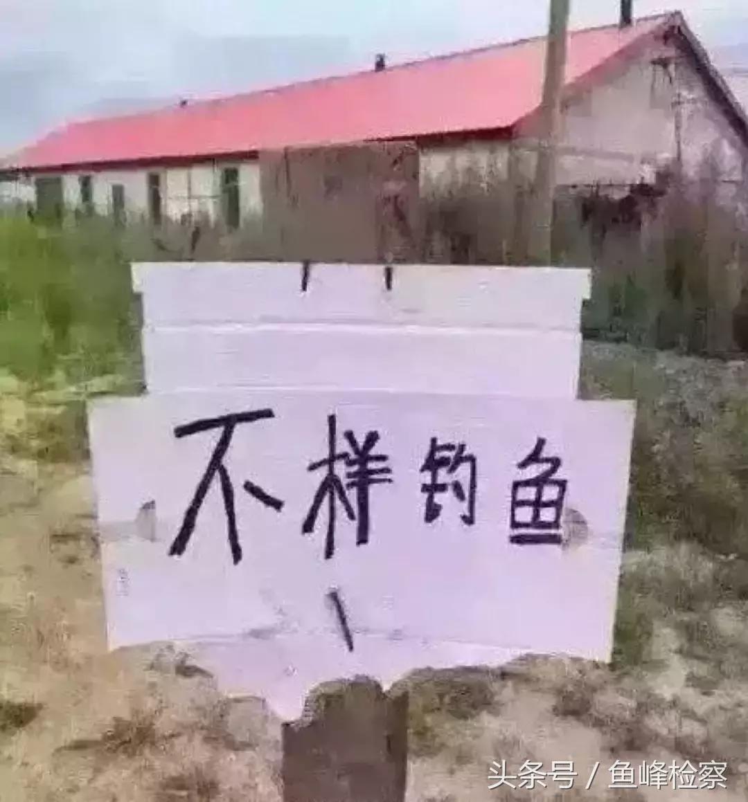 千万别听东北话容易被带偏,大家都来听听东北话