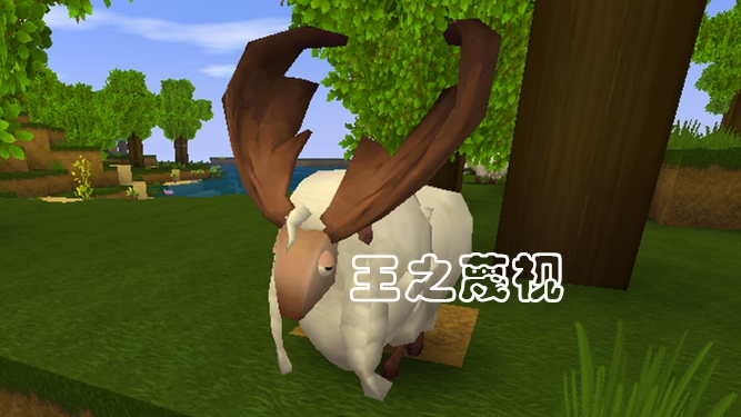 迷你世界老玩家才知道的小动物,迷你世界五种能变成坐骑的生物