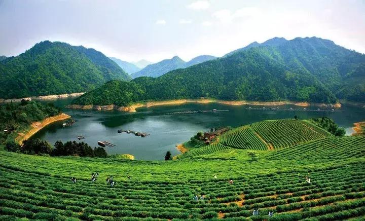 益阳智慧城市发展,益阳智慧城市