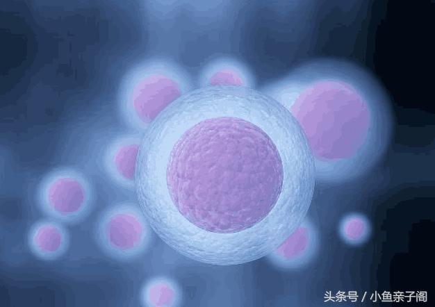 孕妇停育前兆,孕期胎停育的原因和处理方法