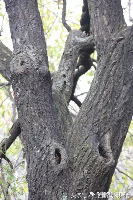 陵川二十八潭,探秘神秘古村落