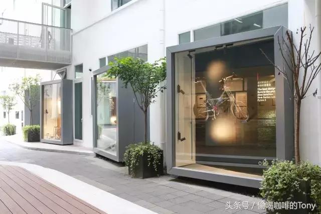 中国女排喝的茶,中国女排喝咖啡