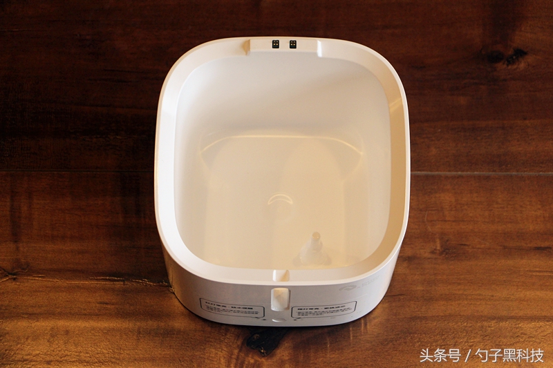 你知道为什么家中的猫狗总喜欢去马桶里喝水吗？原来问题在这里！