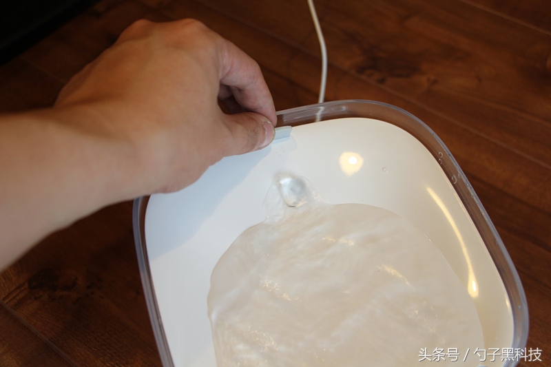 你知道为什么家中的猫狗总喜欢去马桶里喝水吗？原来问题在这里！