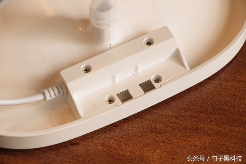 你知道为什么家中的猫狗总喜欢去马桶里喝水吗？原来问题在这里！