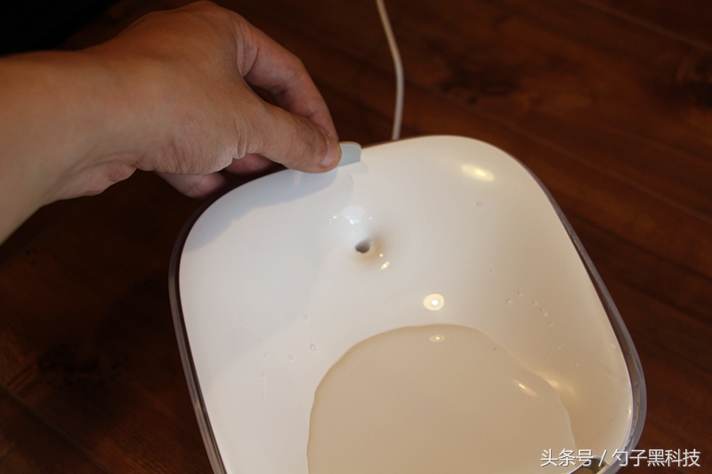 你知道为什么家中的猫狗总喜欢去马桶里喝水吗？原来问题在这里！