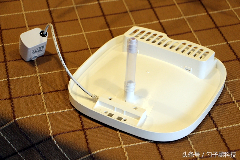 你知道为什么家中的猫狗总喜欢去马桶里喝水吗？原来问题在这里！