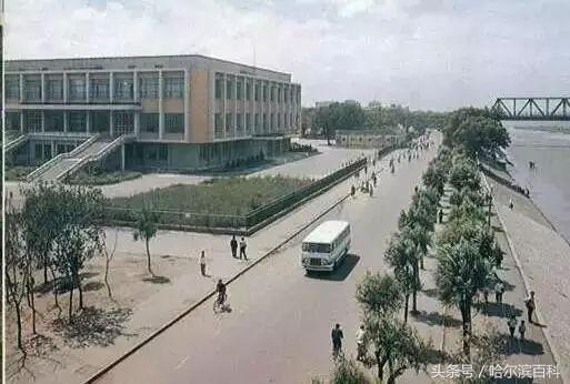 哈尔滨老南岗老照片,80年代哈尔滨道外老照片大图
