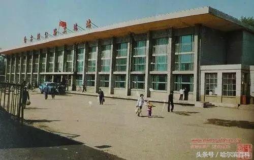 哈尔滨老南岗老照片,80年代哈尔滨道外老照片大图