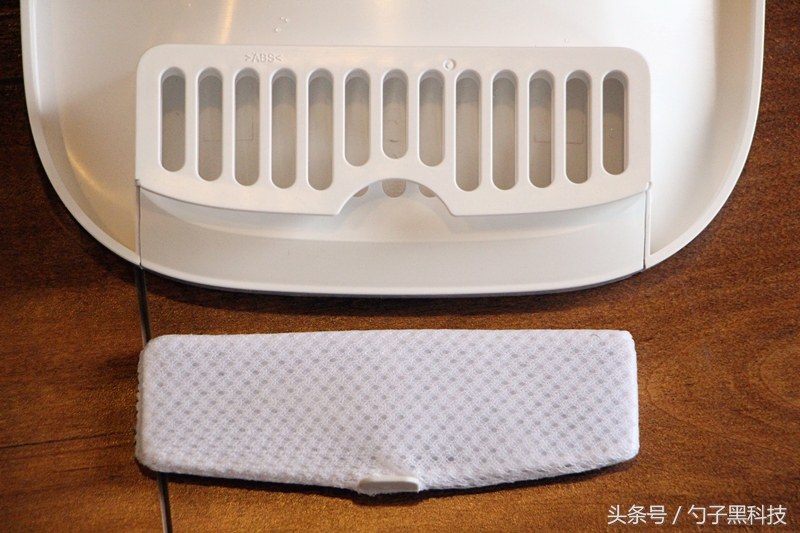 你知道为什么家中的猫狗总喜欢去马桶里喝水吗？原来问题在这里！