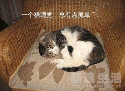 得了hpv的女孩最终怎么样了,女人一定要知道关于hpv