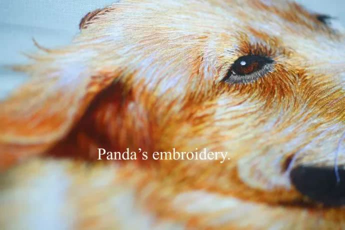 87年美女用针线“撸猫”,还斩获国际大奖,“这猫要活了!”