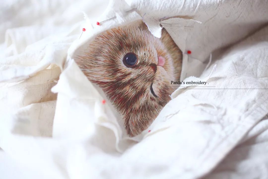 87年美女用针线“撸猫”,还斩获国际大奖,“这猫要活了!”