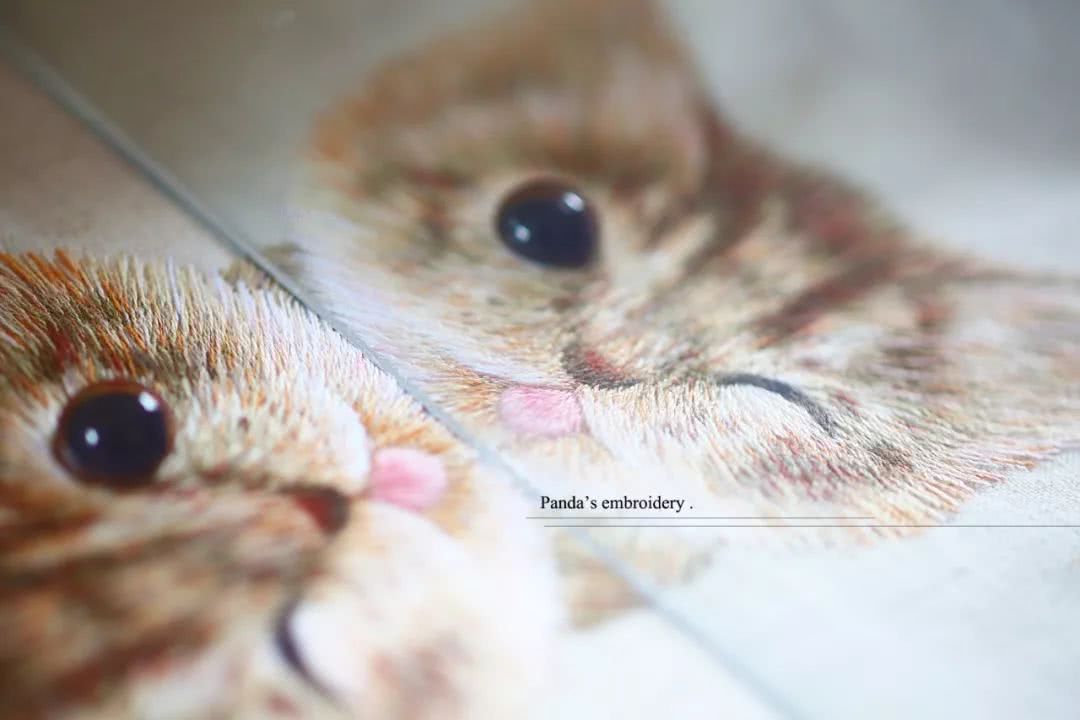 87年美女用针线“撸猫”,还斩获国际大奖,“这猫要活了!”