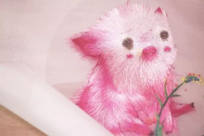 87年美女用针线“撸猫”,还斩获国际大奖,“这猫要活了!”