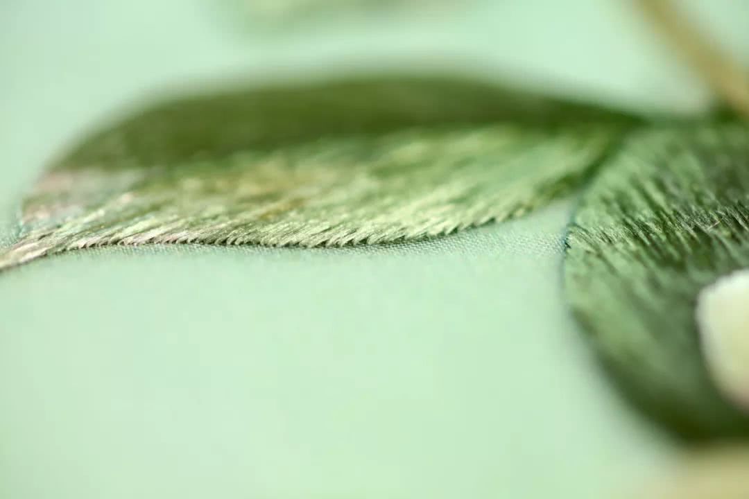 87年美女用针线“撸猫”,还斩获国际大奖,“这猫要活了!”