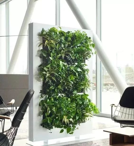 室外墙体屏风图片大全,绿化屏风