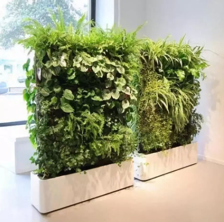 室外墙体屏风图片大全,绿化屏风