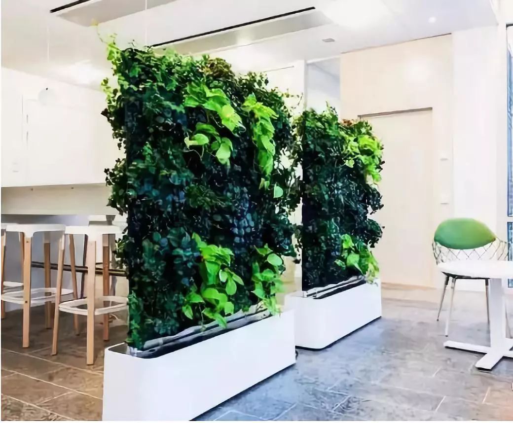 室外墙体屏风图片大全,绿化屏风