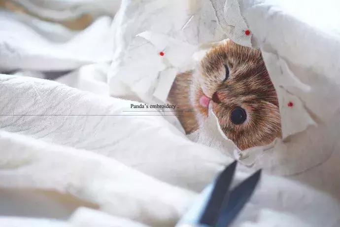 美女用针线“撸猫”，斩获国际大奖，网友惊呼：“这猫要活了！”