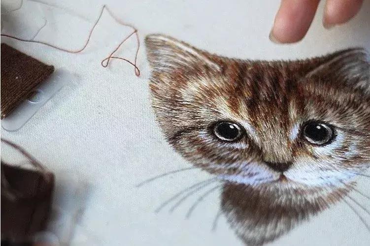 美女用针线“撸猫”，斩获国际大奖，网友惊呼：“这猫要活了！”